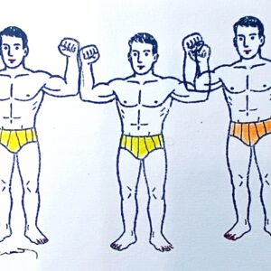 3 beaux nageurs en slips à rayure, jaune et orange